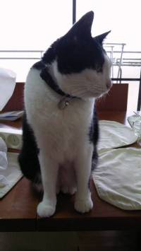 lRl