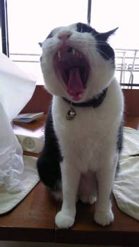 lRl