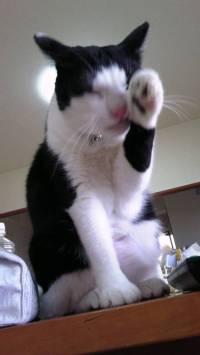 lRl