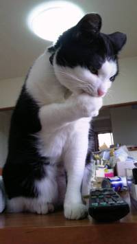 lRl