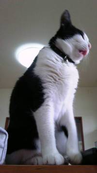 lRl